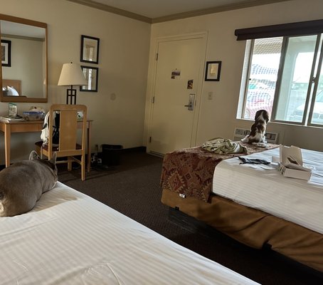 Stovepipe Wells Village Hotel by null