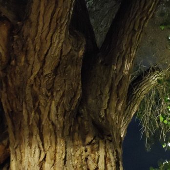 AbqTours - Historical Tours Near Me - Albuquerque, New Mexico