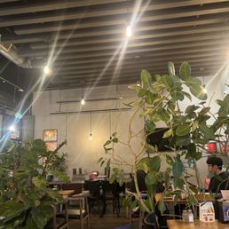 Love the plant and music in this place Love the plant and music in this place
