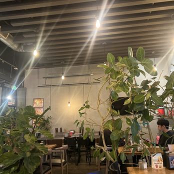 Chick & Burger - Love the plant and music in this place - Chicken Wings Near Me - Los Angeles, California Chick & Burger - Love the plant and music in this place - Chicken Wings Near Me - Los Angeles, California