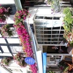 Copper Kettle Tea Rooms - Basking in the sun