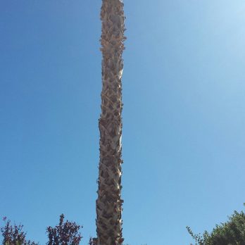 Treepro - Very Excellent Work - Tree Services Near Me - Las Vegas, Nevada Treepro - Very Excellent Work - Tree Services Near Me - Las Vegas, Nevada