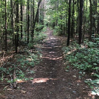 Pitner Dog Park 27 Photos 10 Reviews Dog Parks 2450 Pitner Rd Acworth Ga Phone Number Yelp