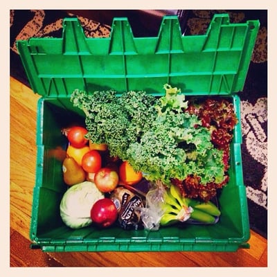 Boston Organics by null