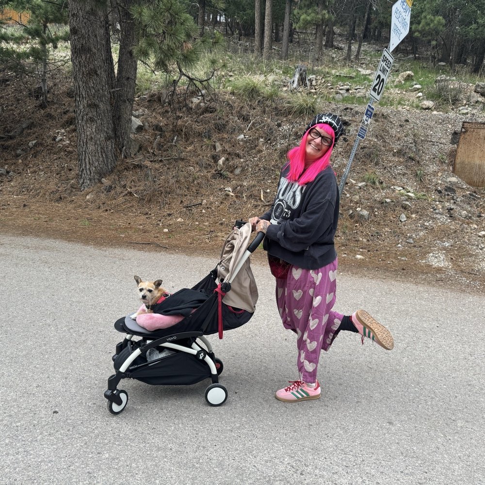 TOP 10 BEST Baby Stroller Stores in Austin, TX - Updated 2026 - Yelp