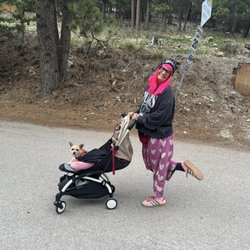 Enlightened Baby - The perfect stroller for my baby!