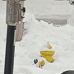 Hummer Lawn & Snow