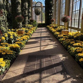 Longwood Gardens - Fall mum display. - Botanical Gardens Near Me - Kennett Square, Pennsylvania