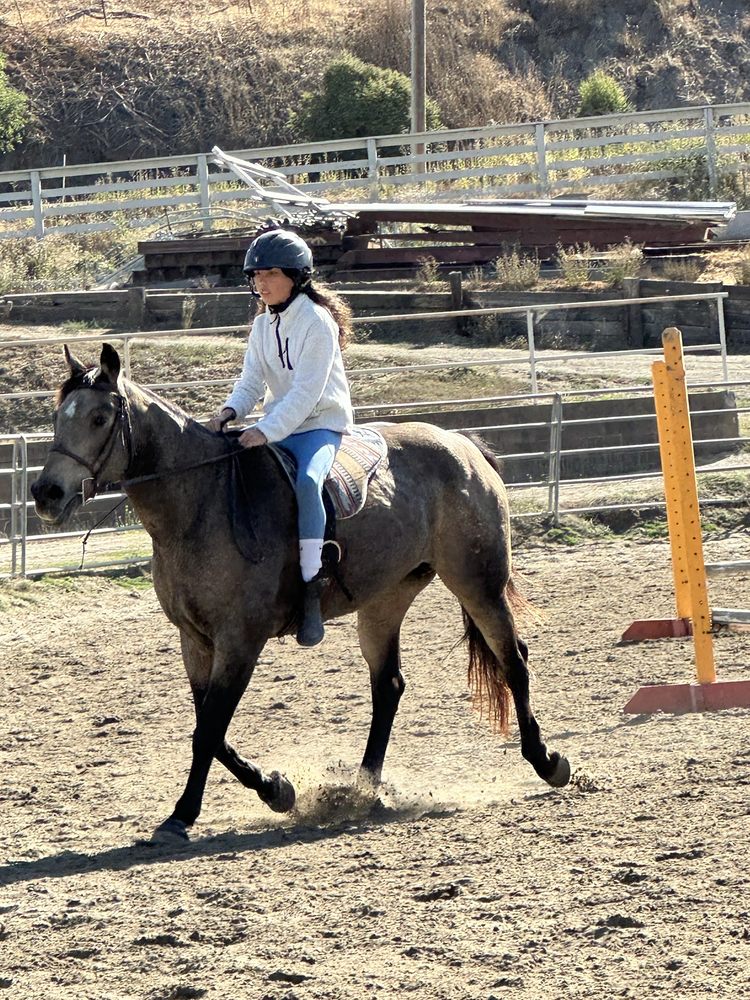 APPLE CREEK FARMS Updated September 2024 14 Reviews 7324 Crow