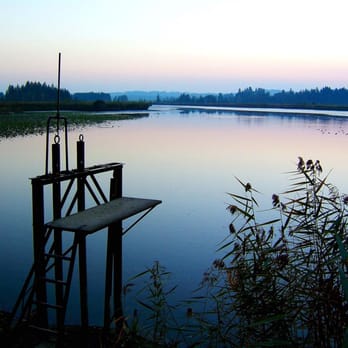 Maisinger See - Lakes Near Me - Pöcking, BY Maisinger See - Lakes Near Me - Pöcking, BY