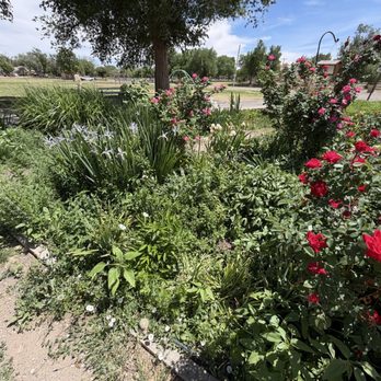 Roswell Public Garden - 4.16.2026 - Parks Near Me - Roswell, New Mexico