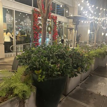 Miriam Cocina Latina - Mexican Near Me - Dallas, Texas