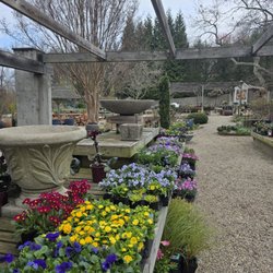 Annuals