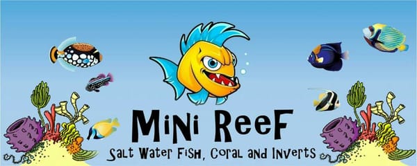 Mini Reef by null