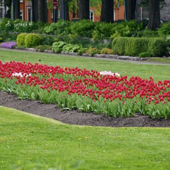 Jardin Jeanne-d'Arc - Joan of Arc Garden_Quebec_Yelp_Sanju-3 - Parks Near Me - Quebec City, Quebec Jardin Jeanne-d'Arc - Joan of Arc Garden_Quebec_Yelp_Sanju-3 - Parks Near Me - Quebec City, Quebec