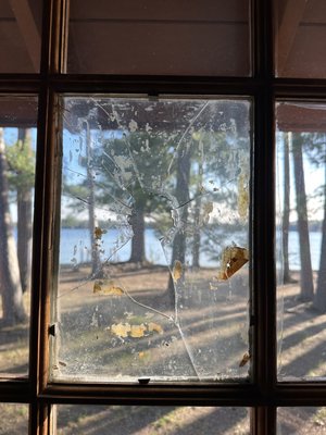 Little Bohemia Lodge by null