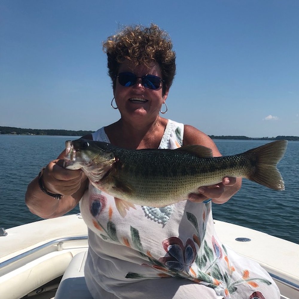 Southern Comfort Striper Guide - Fishing Near Me - Anderson, South Carolina Southern Comfort Striper Guide - Fishing Near Me - Anderson, South Carolina