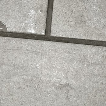 Embassy Suites by Hilton Sarasota - Hair on the floor - Hotels Near Me - Sarasota, Florida Embassy Suites by Hilton Sarasota - Hair on the floor - Hotels Near Me - Sarasota, Florida