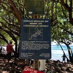 Honolua Bay - Don't be that guy