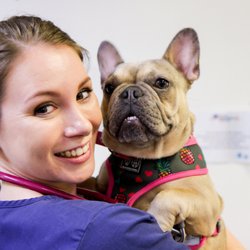 Animal Emergency Service - Animal Emergency Service Underwood's Dr Brooke Schampers giving a hug to a patient