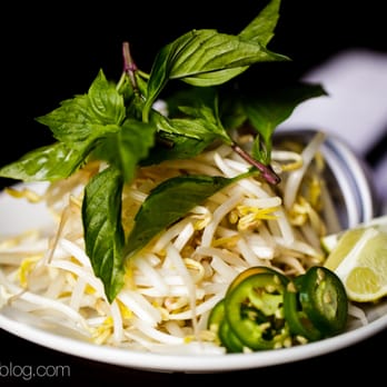 Ha Noi Vietnamese Kitchen - Pho Customization Goodies - Vietnamese Near Me - Brooklyn, New York Ha Noi Vietnamese Kitchen - Pho Customization Goodies - Vietnamese Near Me - Brooklyn, New York