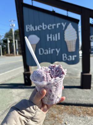Blueberry Hill Dairy Bar by null
