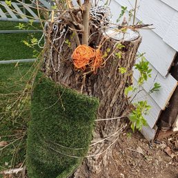 Before/after pics of tree stump removal. Before/after pics of tree stump removal.