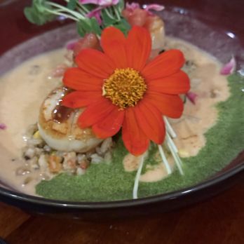 JO2 Natural Cuisine - Scallop risotto - Asian Fusion Near Me - Kapaa, Hawaii