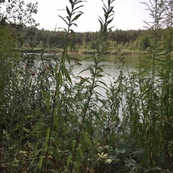 Birkensee