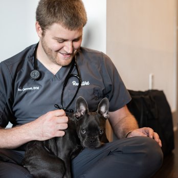 ReadiVet - Dallas - Veterinarians Near Me - Dallas, Texas ReadiVet - Dallas - Veterinarians Near Me - Dallas, Texas
