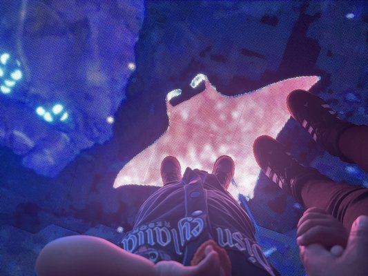 Bubble Planet: An Immersive Experience - Oakland by null