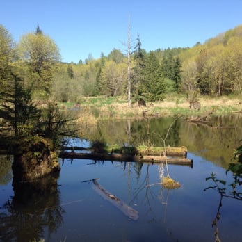 Lord Hill Regional Park - Another view of the beaver pond - Parks Near Me - Snohomish, Washington