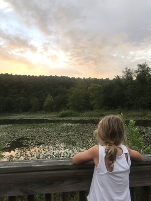 ROBBERS CAVE STATE PARK - 168 Photos & 35 Reviews - 2300 Park Cabins Rd