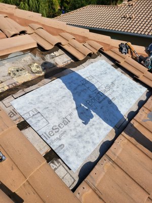 D’ Orange Services Logo