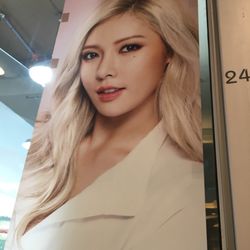 Tony Moly