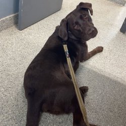 Hanover Green Veterinary Clinic