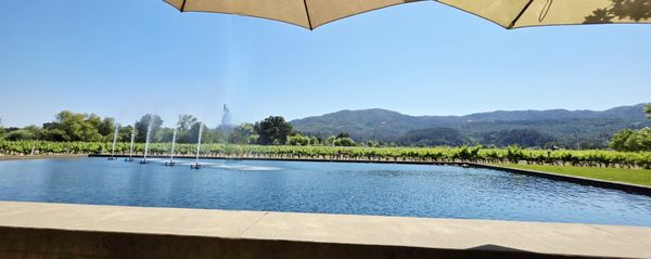 Alpha Omega Winery by null