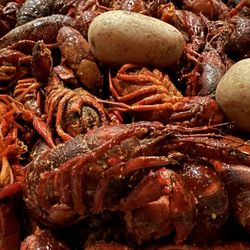 Louisiana Crawfish Time