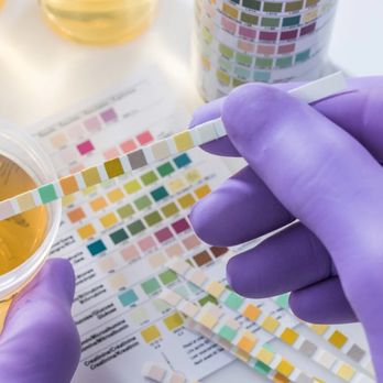 Inksure - Laboratory Testing Near Me - Charlotte, North Carolina Inksure - Laboratory Testing Near Me - Charlotte, North Carolina