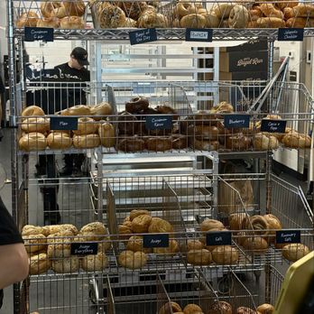Jeff's Bagel Run - Large variety of bagels. - Bagels Near Me - Lakewood Ranch, Florida Jeff's Bagel Run - Large variety of bagels. - Bagels Near Me - Lakewood Ranch, Florida