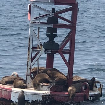 Oceanside Adventures - Boat Charters Near Me - Oceanside, California Oceanside Adventures - Boat Charters Near Me - Oceanside, California