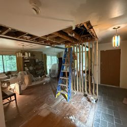 Atlanta Painting & Remodeling - Freiming repair