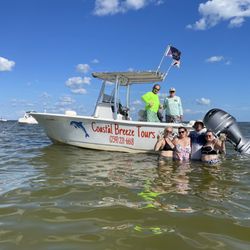 Coastal Breeze Tours