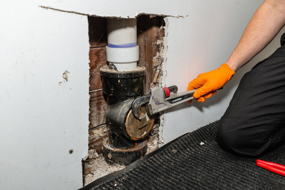 Slide of Roots Be Gone - Cleveland