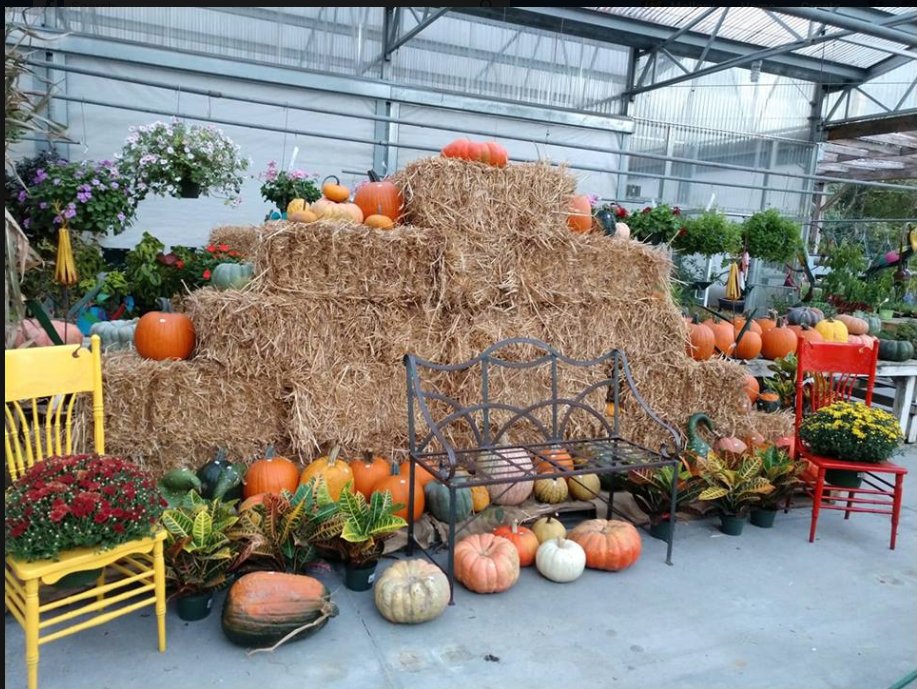 NOBLES GREENHOUSE & NURSERY Updated October 2024 20 Photos 9248 129th Rd, Live Oak