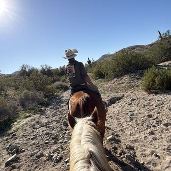 Ponderosa Stables - Waffles and the wrangler - Horseback Riding Near Me - Phoenix, Arizona