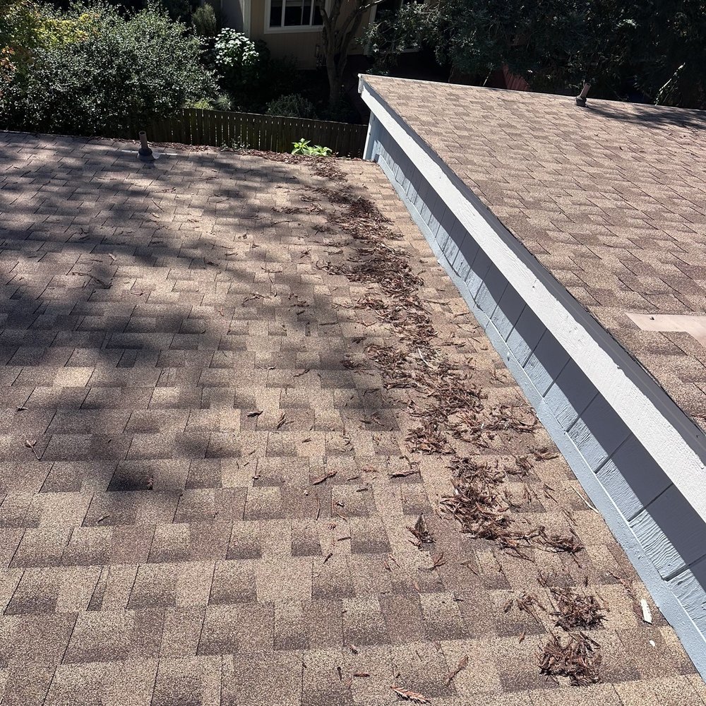 Streakless Window Cleaning - Before cleaning - Window Washing Near Me - Mill Valley, California Streakless Window Cleaning - Before cleaning - Window Washing Near Me - Mill Valley, California