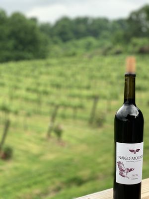 NAKED MOUNTAIN WINERY & VINEYARDS - Updated May 2024 - 179 Photos & 164