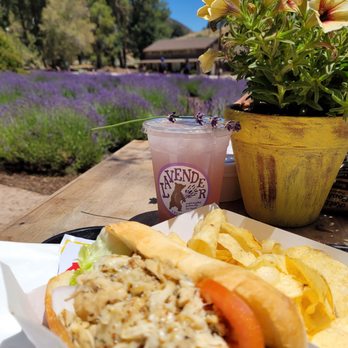 123 Farm - Herbes de Provence shredded chicken sandwich, delish - Farmers Market Near Me - Cherry Valley, California 123 Farm - Herbes de Provence shredded chicken sandwich, delish - Farmers Market Near Me - Cherry Valley, California