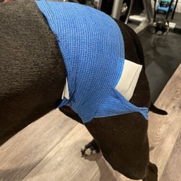 His wrap job.. His wrap job..